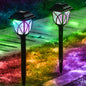 Enchanted Garden Path Lights