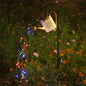 Decorative Lantern Lamp