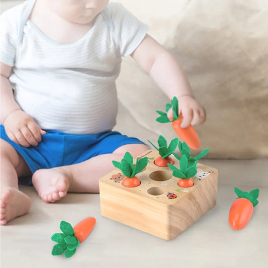 Little Carrot Farm Playset